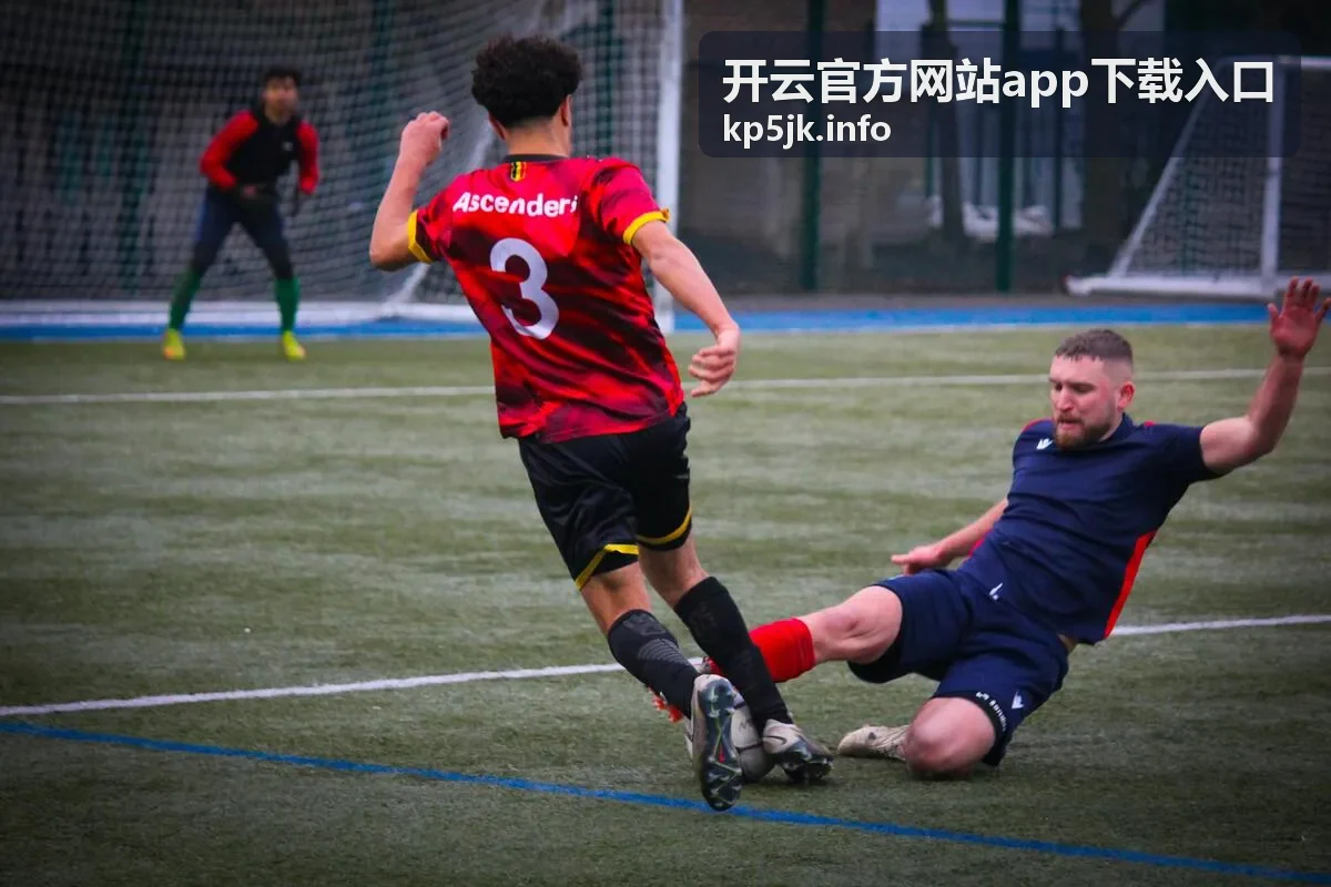 开云官方网站app下载入口下载安装指引操作界面示意