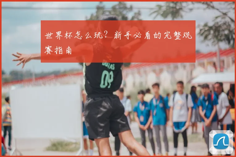 世界杯怎么玩?新手必看的完整观赛指南