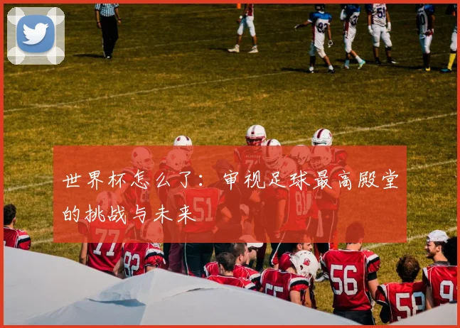 世界杯怎么了：审视足球最高殿堂的挑战与未来