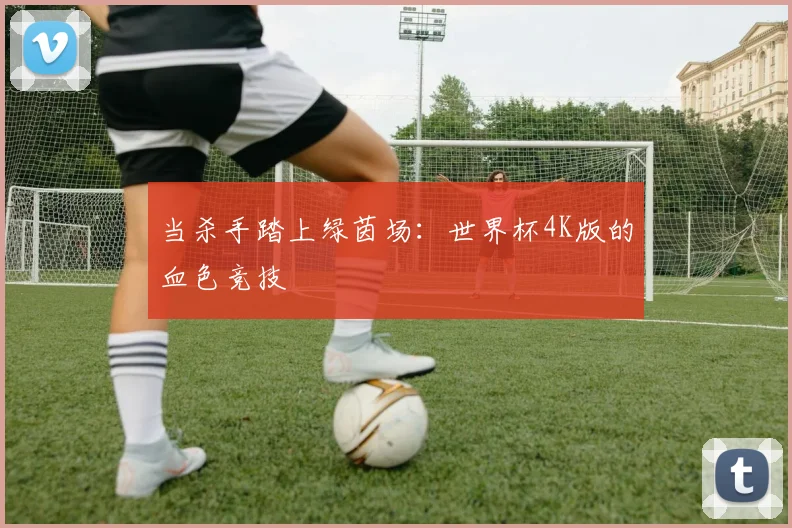 当杀手踏上绿茵场：世界杯4K版的血色竞技