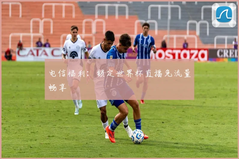 电信福利：锁定世界杯直播免流量畅享
