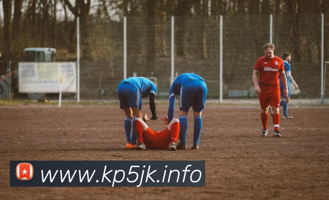 九游在线网页服务体系